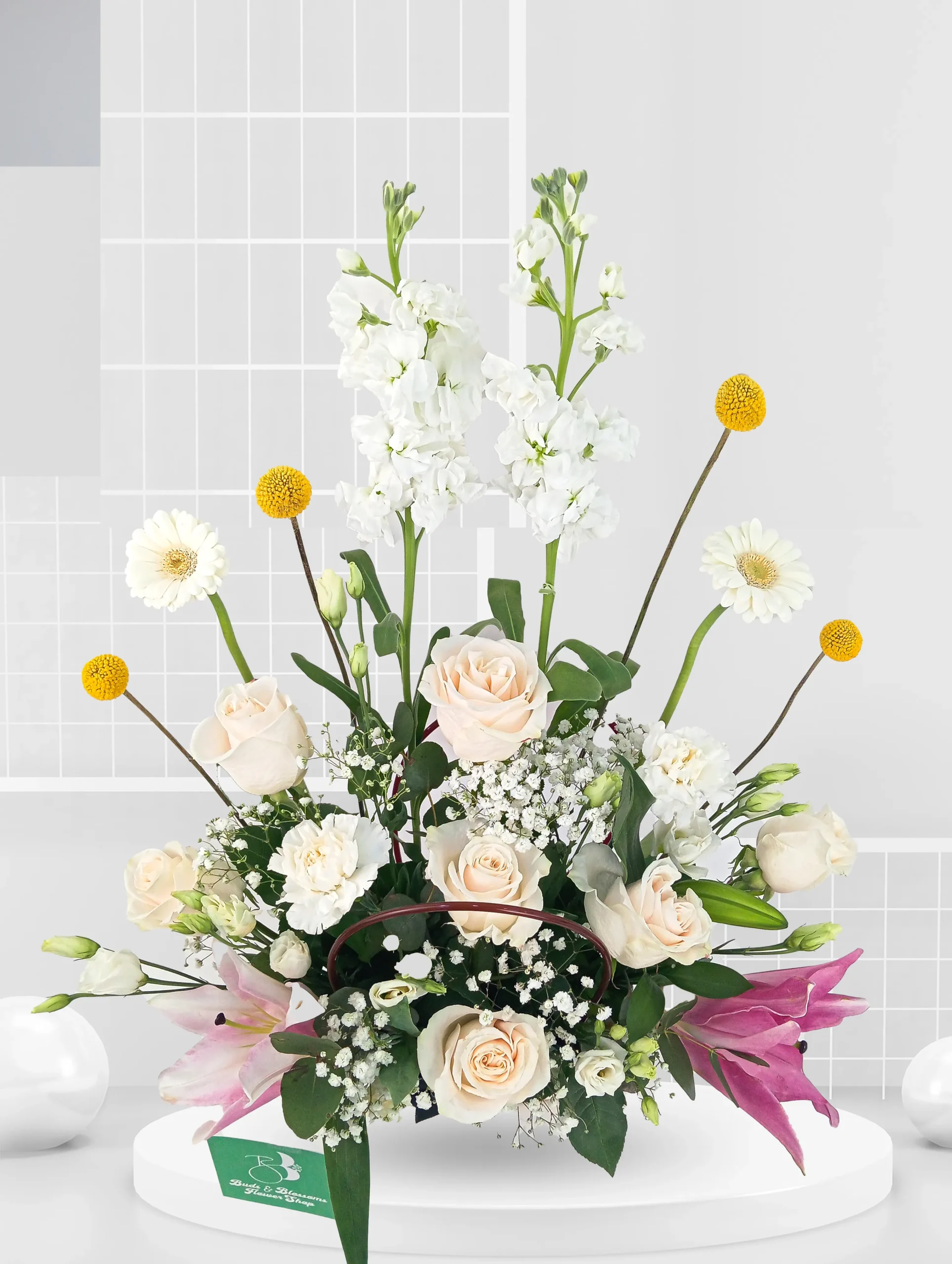 Vag arrangement - Image 3